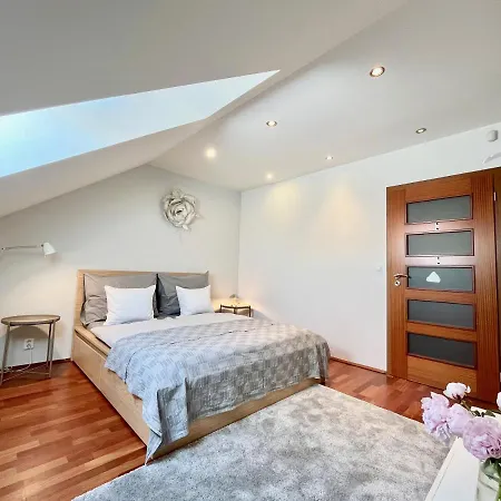 Luxury Penthouse Praga